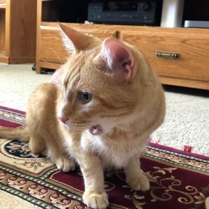 Meet your Posher, Wendy